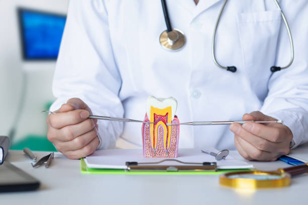 Best Emergency Dental Care for Broken or Chipped Teeth in Lake Village, AR